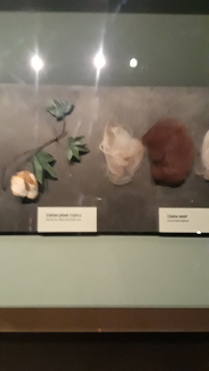 Charringauh6's tweet image. #cotton #llamawool