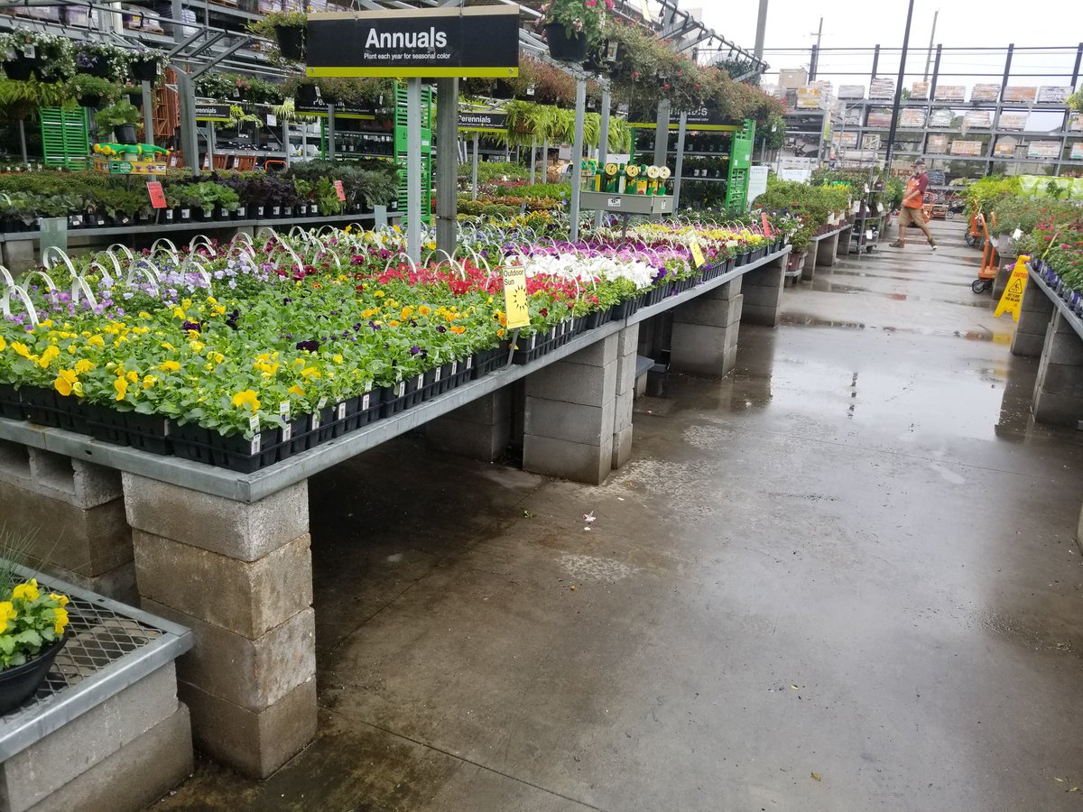 Troy6530's tweet photo. Mum's the Word for a Harvest of Fall Blooms and Colors https://t.co/NuIKNKu3mx