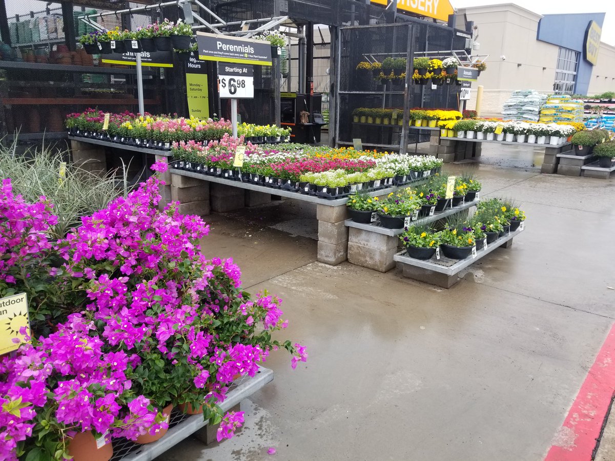 Troy6530's tweet photo. Mum's the Word for a Harvest of Fall Blooms and Colors https://t.co/NuIKNKu3mx