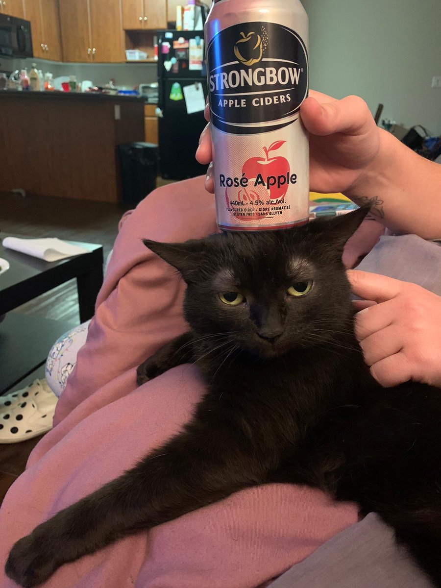 fart tacklebox tweet media