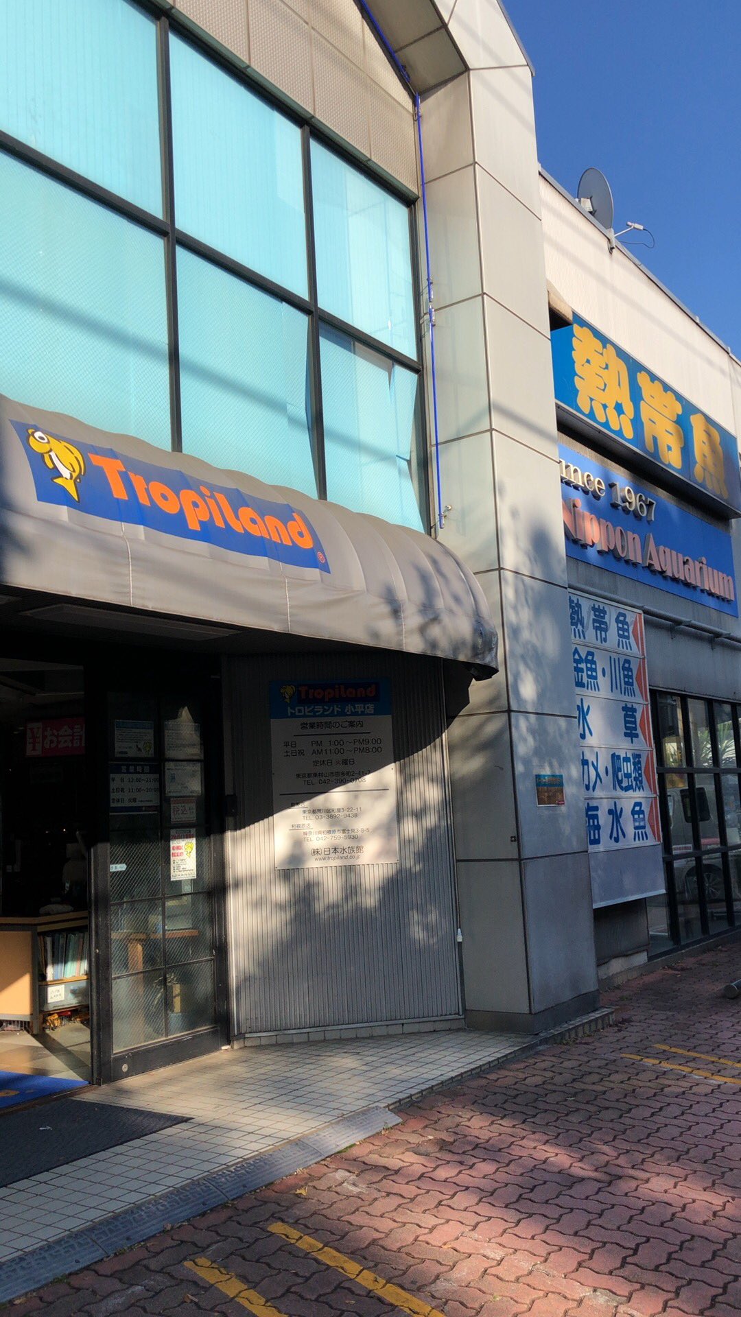 トロピランド小平店 Twitter Search Twitter