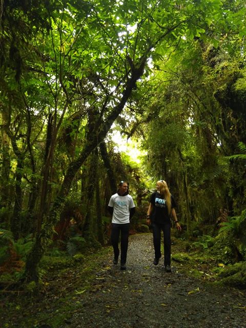 Fox Glacier Guiding tweet media