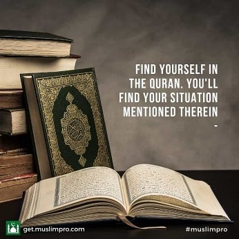 halysadiq's tweet image. 