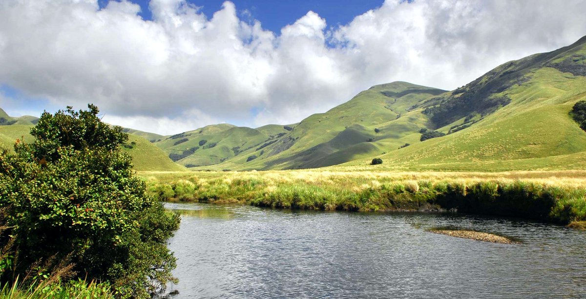 grandplazamunna's tweet photo. Eravikulam "The Heaven on Earth", unwind the majestic treasure of nature in
#Munnar 
#Keralatourism
#Eravikulamnationalpark
#VisitMunnar 
#ShowcaseMunnar
#RealMunnarhotels 
#Hillstationholiday #honeymoondestination 
#GrandplazaMunnar
#IndiaTourism https://t.co/ST3aIgTWZE