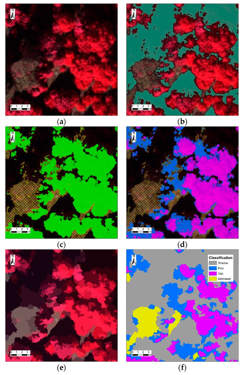 Drones_MDPI's tweet photo. Estimating the Threshold of Detection on Tree Crown Defoliation Using Vegetation Indices from UAS Multispectral Imagery https://t.co/eq3wdKyzSO
#multispectralimagery
#forestdefoliation
#UAS https://t.co/HfTUo5r2Mz