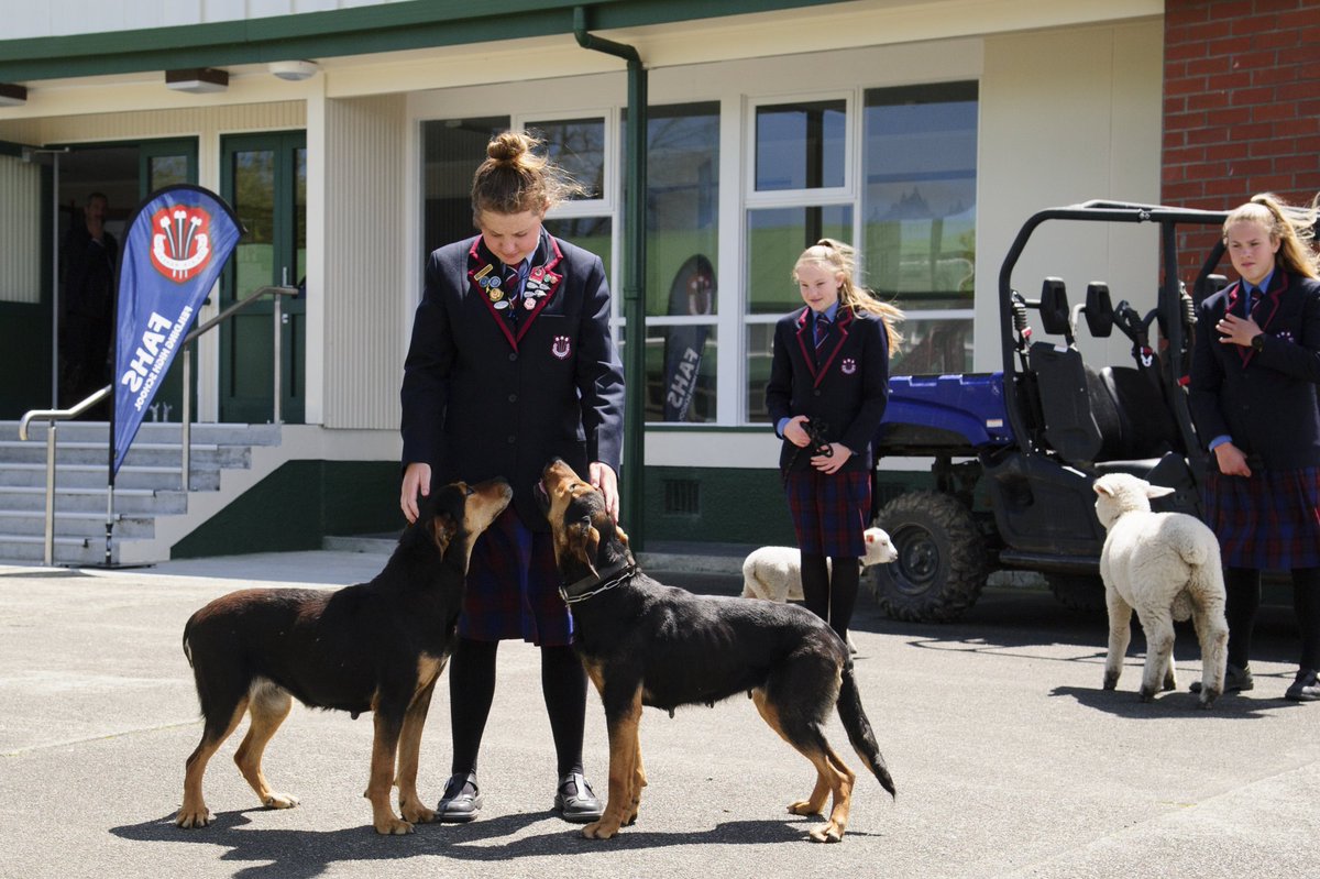 MPI_NZ's tweet image. Food &amp;amp; Fibre Skills Action Plan 2019-2022 is the start of an industry and government partnership and a critical step forward towards meeting New Zealand’s current and future food and fibre workforce needs. 

For more information see bit.ly/35J4sdq