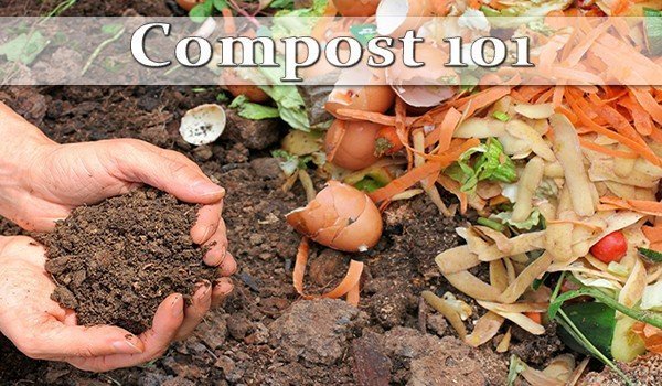 a3gate's tweet image. We pride ourselves in sharing environmentally friendly approach like composting! Join us and meet your little worms at work!

#composting #gogreen #biodegradable #ecofriendlyliving #ecofriendlyhomes #compost #DryWaste #WetWaste
#SaveOurPlanet