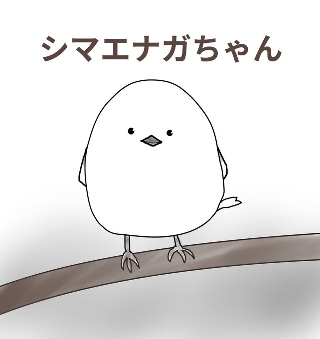 シマエナガのtwitterイラスト検索結果 古い順