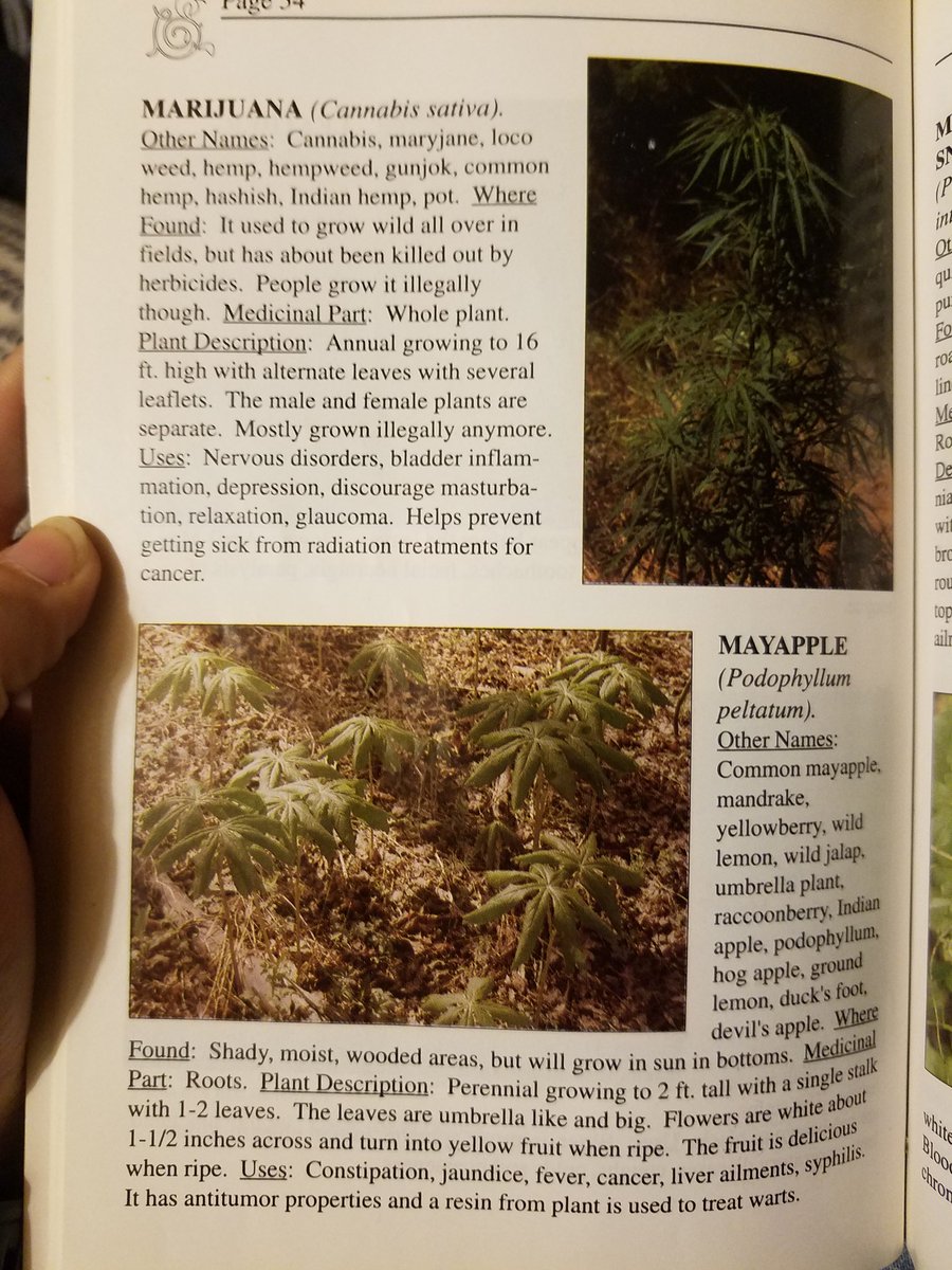 joe_vertigo13's tweet image. This old book my grandma had is a treasure trove of knowledge. #locoweed