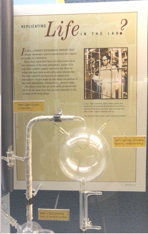 evoisamyth's tweet photo. MILLER UREY DISPLAYED IN MUSEUMS AS “REPLICATING LIFE IN THE LAB” ARE FRAUDULENT.  Educated individuals in chemistry or biology "bite their tongues" when viewing such deceptive displays as this one at the Denver Museum of Nature.   https://t.co/fUdwKYA25c https://t.co/guVgC3TmhE