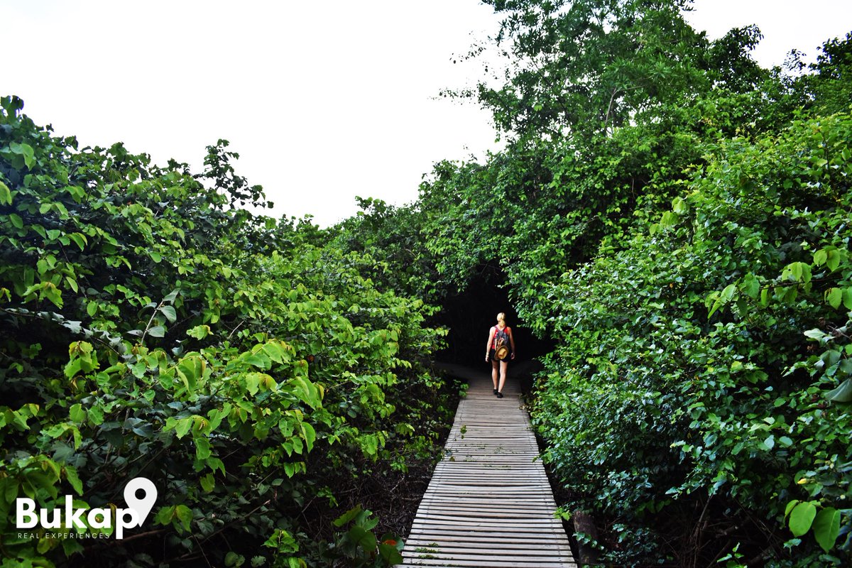 BukapTravels's tweet photo. #Tayrona National Park🍃 Book your private tour with us Includes #privatetransportation and professional driver at full disposal, professional bilingual guide, Tayrona Park entrance fee, bottled water and snacks. Contact us so that we can give you our best prices
#travel #bukap https://t.co/K9tPW2hdm5