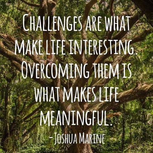 Jeanine Long (@jlong4171) on Twitter photo 