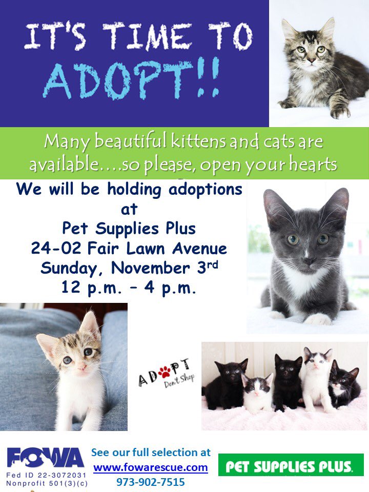 FOWARescue's tweet photo. We will be holding adoption at Pet Supplies Plus in Fair Lawn on November 3rd #adoptacat #catadoption #adoptkitten #petadoption #ADOPT https://t.co/ETIM3OIgtA