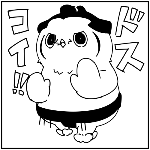 @ayakasigami001 どすこい! 