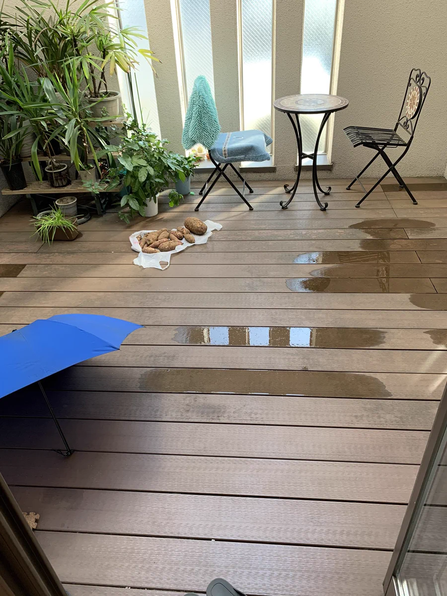 イヌかと思ったらイモ！？まさかすぎる間違いが話題！