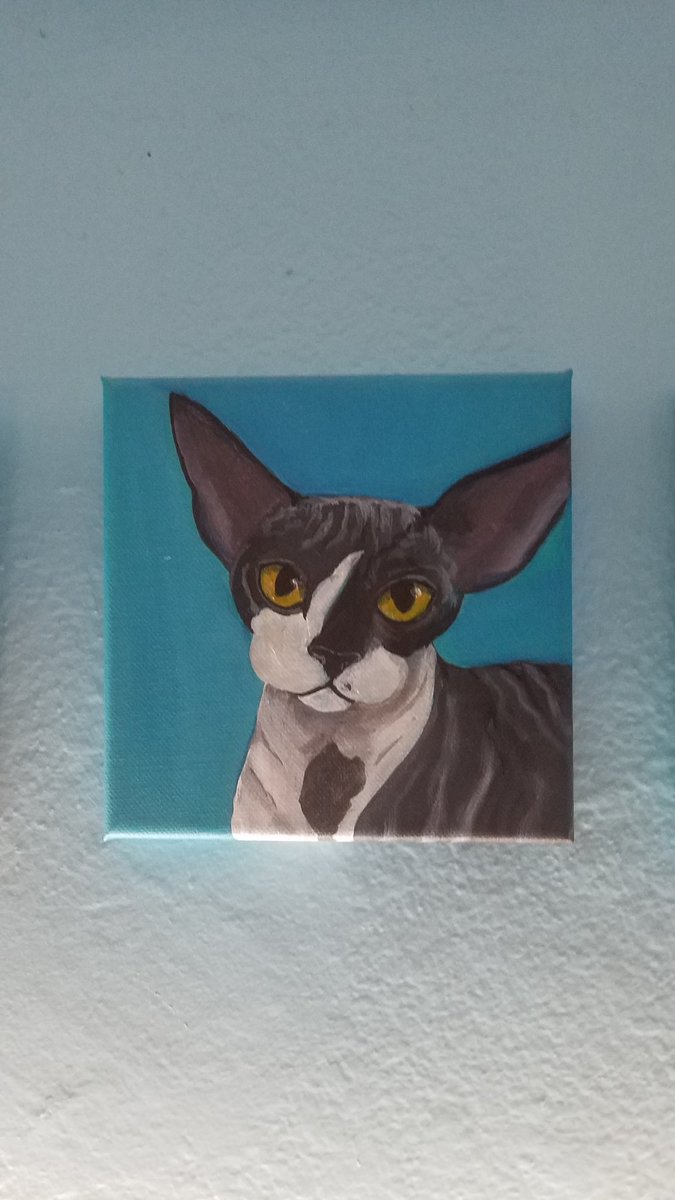 Xingona and her portrait (15yo)#NationalCatDay
