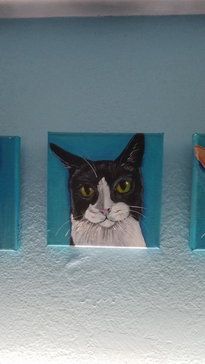 Sólovino and his portrait(3yo) #NationalCatDay