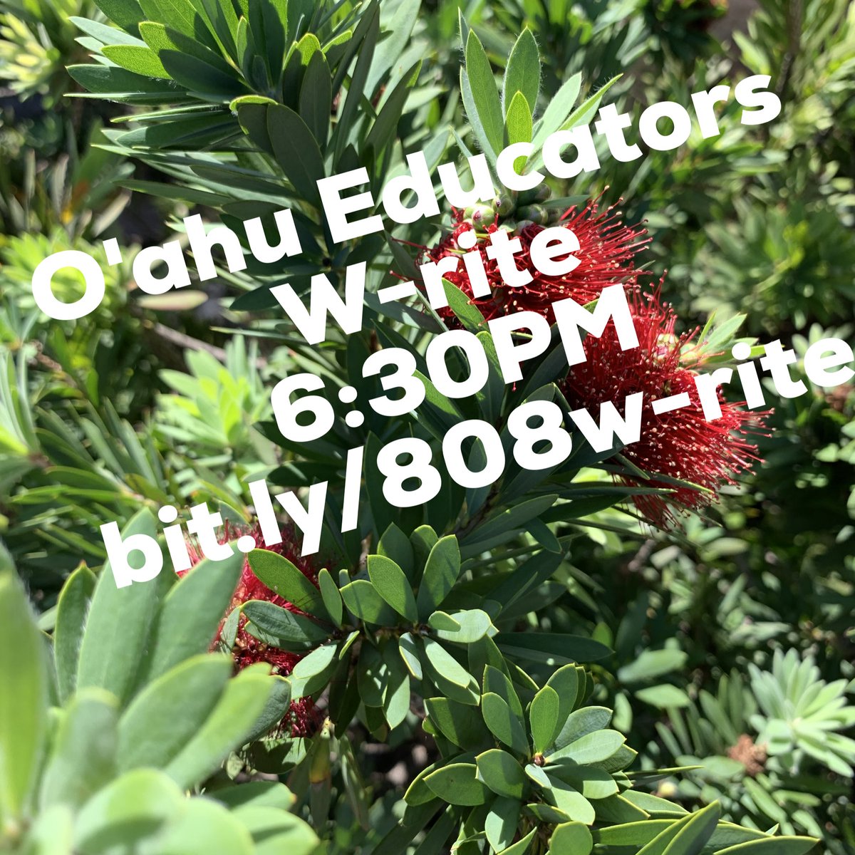 Kristi, NBCT 🌱 ✨🌊 ☀️ tweet media