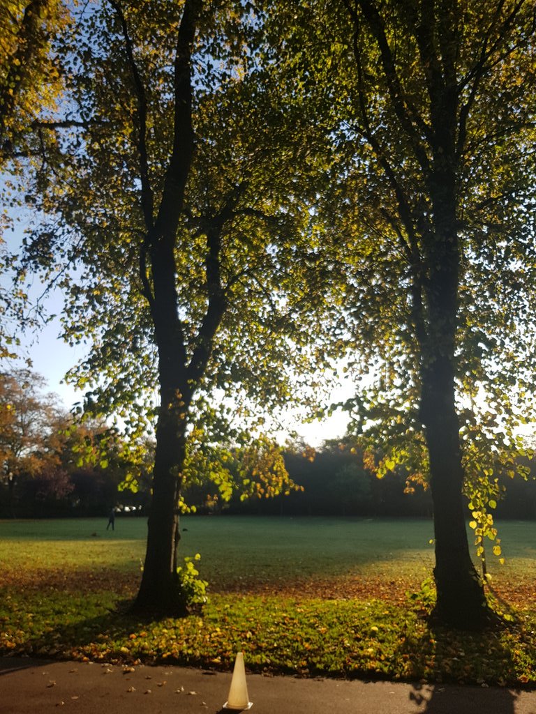 Good morning from a cold but gloriously crisp Victoria junior parkrun in Glasgow #loveparkrun