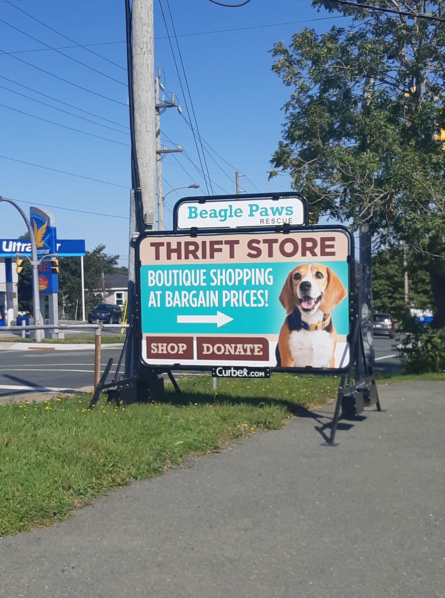 Beagle Paws thrift store 