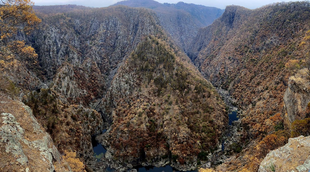 The “okish-looking” Armidale gorges from the bush walking tour. <a href="/aaabg2019/">AAABG2019</a>  #aaabgtourphoto #aaabg2019