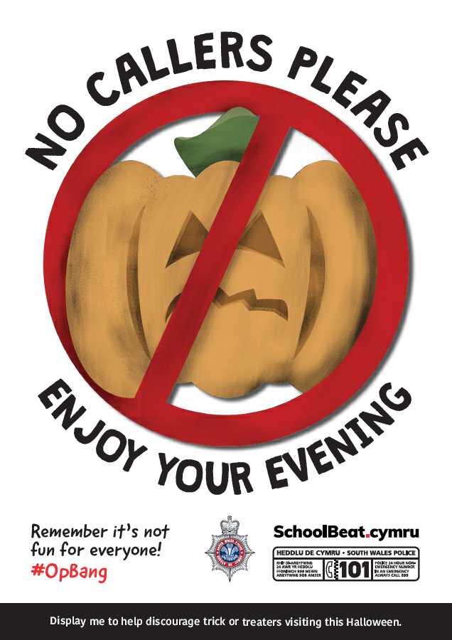 swpolice's tweet image. Halloween is #NotFunForEveryone, and some vulnerable or older people can find this time of year frightening.

❌🚪 If you'd prefer people not to knock on your door, you can download, print and display this poster. 🔽

🔗 bit.ly/OpBang2019