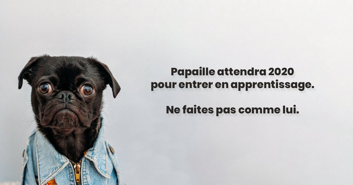 AfpiFormation's tweet photo. Dans une semaine, nous organisons nos deux dernières #portesouvertes de l'année. Dès novembre, vous pouvez vous #reorienter en #alternance chez nous.
On vous attend le 6 et 9 novembre dans l'un de nos 5 centres AFPI pour découvrir nos #formations.
https://t.co/zvLWVIyWFe https://t.co/1LA2nWRNua