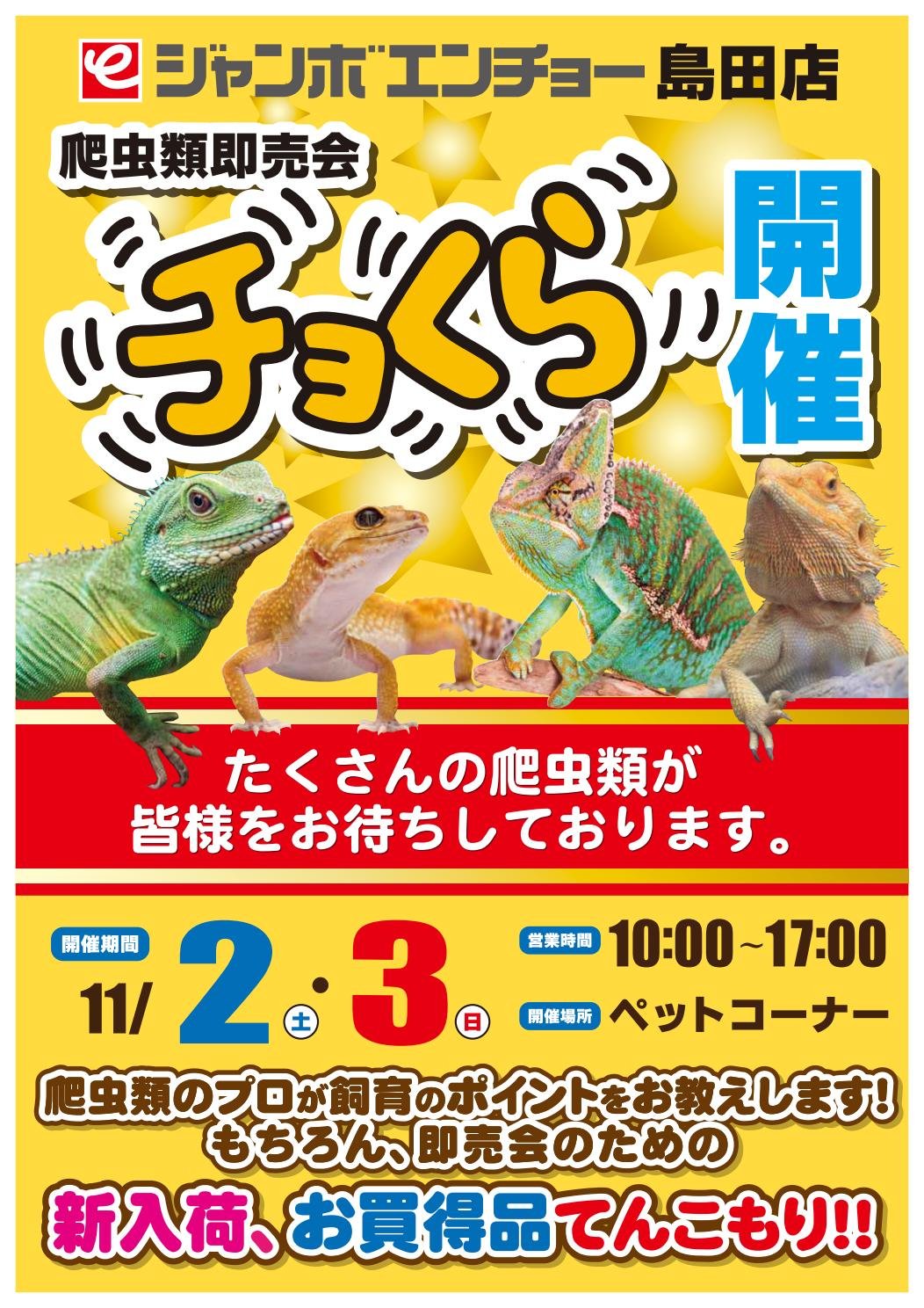 ジャンボエンチョー Auf Twitter 島田店にて爬虫類即売会開催 11 2 土 3 日 の2日間 島田店にて爬虫類即売会を開催します 普段見る事ができない珍しい爬虫類たちが沢山やってきます 価格はイベント特価 特価用品も盛り沢山 ぜひご来店ください