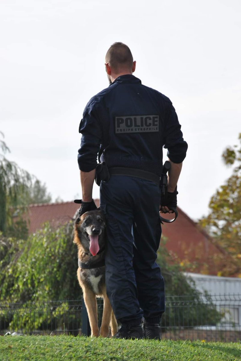 Police Nationale 59 On Twitter K9 Après Plusieurs