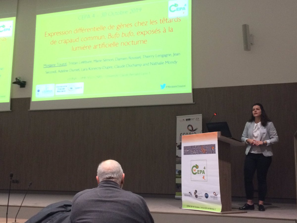 « Nos nuits ne sont plus tout à fait noires » : on enchaîne avec l’effet de la lumière artificielle nocturne sur l’expression des gènes chez le crapaud commun avec Morgane Touzot #CePa4 #cnrs #ecobio_lab