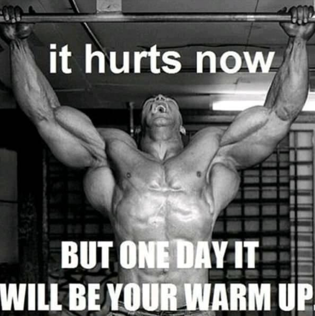 BodyPharmCom's tweet photo. #genotropin #humatrope #hgh #fitness #motivation #gym #bodybuilding #bodybuilder #humangrowthhormone #pharmacy #onlinepharmacy https://t.co/9pryaPJIyX