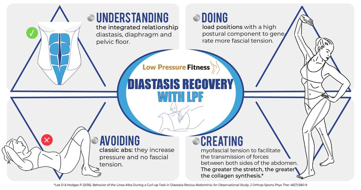 LPFworkout's tweet image. What aspects do we need to keep in mind when dealing with diastasis recovery with the #LowPressureFitness training program?
Here are some clues. 🙌