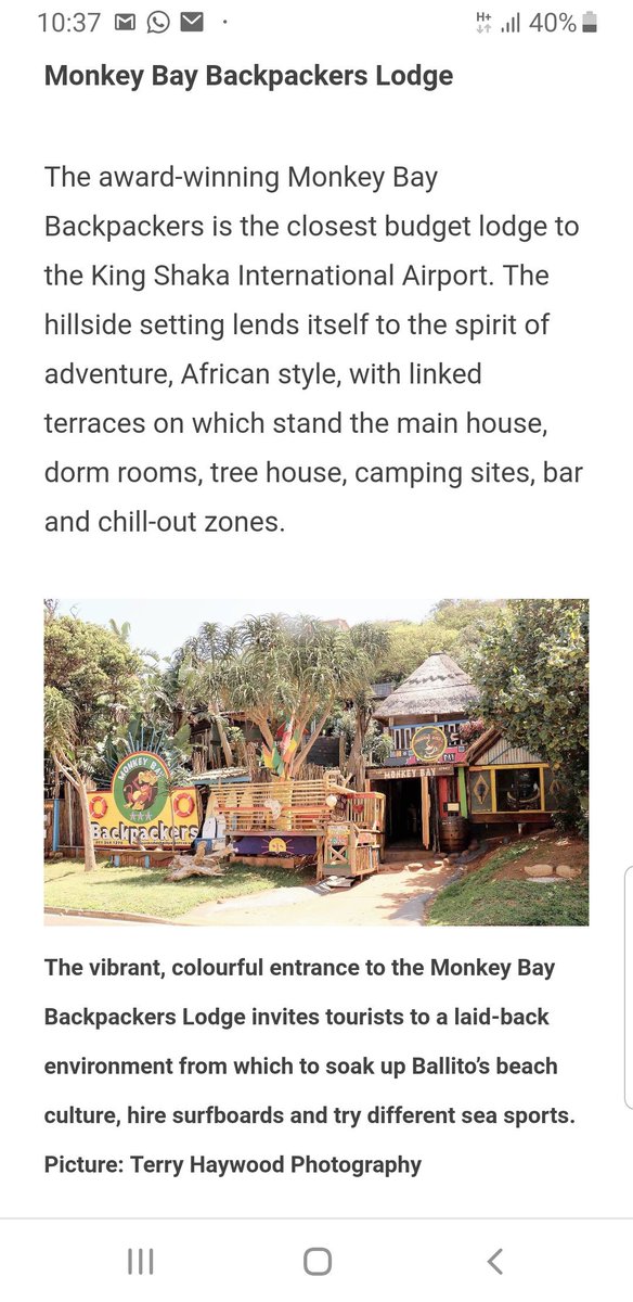 Monkey_Bay's tweet image. Lekker little write up we just had...