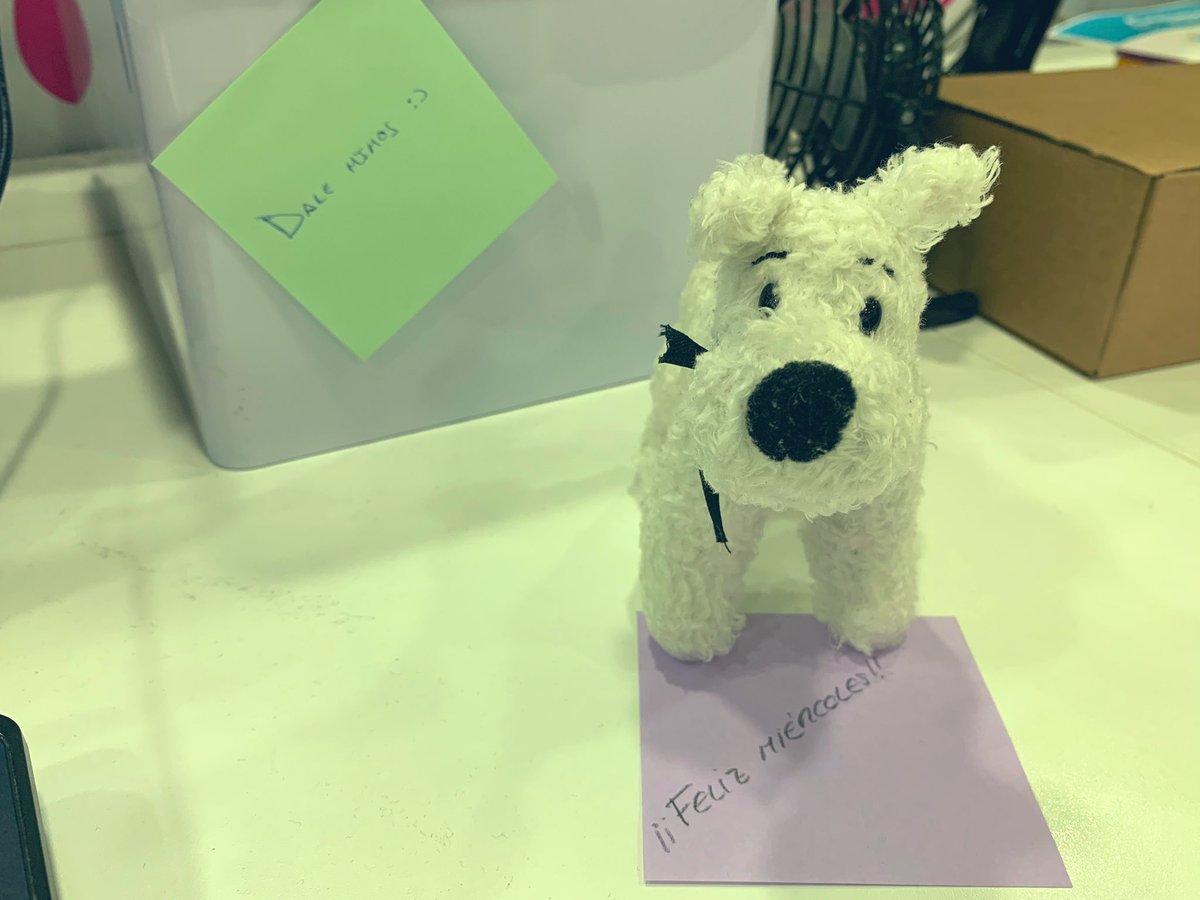 Adolfo Rodríguez tweet media