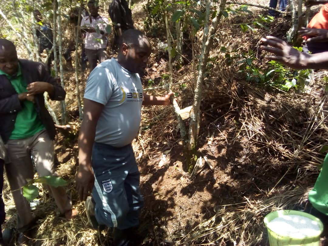 Dieudonné TUYISHIME tweet media