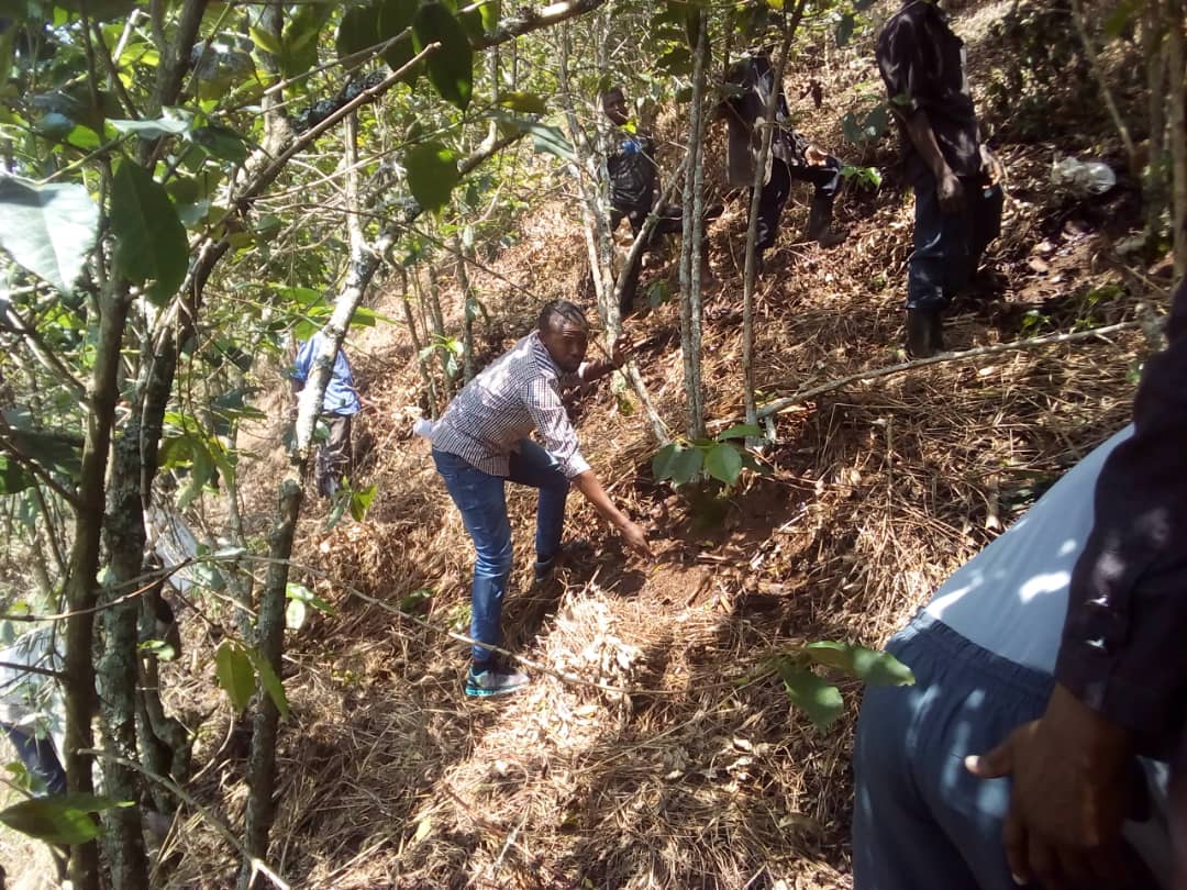 Dieudonné TUYISHIME tweet media