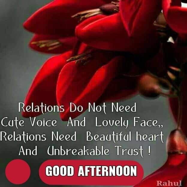meera2317's tweet photo. @ #goodthingchallenge is Good afternoon. https://t.co/ThNkizp4W7