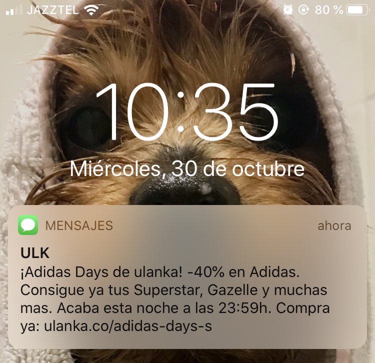 Llamarada Cordelia Hong Kong adidas superstar ulanka Misericordioso Cuota  latitud
