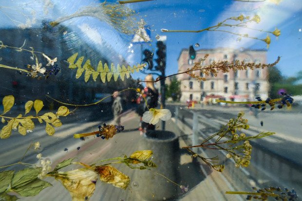 elton_cuisines's tweet photo. Un arrêt de #tramway à Łód (#Pologne) a été décoré de #fleurs séchées emprisonnées dans de la résine. Dominika Cebula, une étudiante en #art, est à l'origine de ce projet nommé « #Nostalgie », qui vise à se rapprocher de la nature. Qu'en pensez-vous ? #TouchOfArt https://t.co/I24ab1bDka