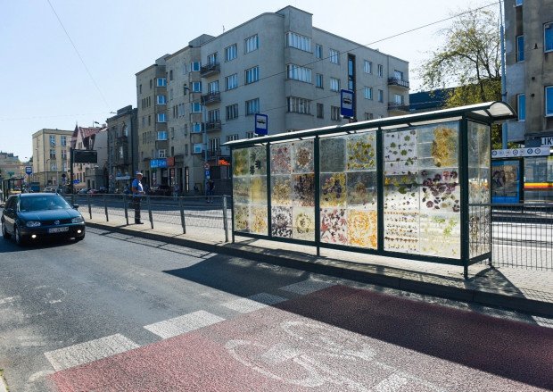 elton_cuisines's tweet photo. Un arrêt de #tramway à Łód (#Pologne) a été décoré de #fleurs séchées emprisonnées dans de la résine. Dominika Cebula, une étudiante en #art, est à l'origine de ce projet nommé « #Nostalgie », qui vise à se rapprocher de la nature. Qu'en pensez-vous ? #TouchOfArt https://t.co/I24ab1bDka