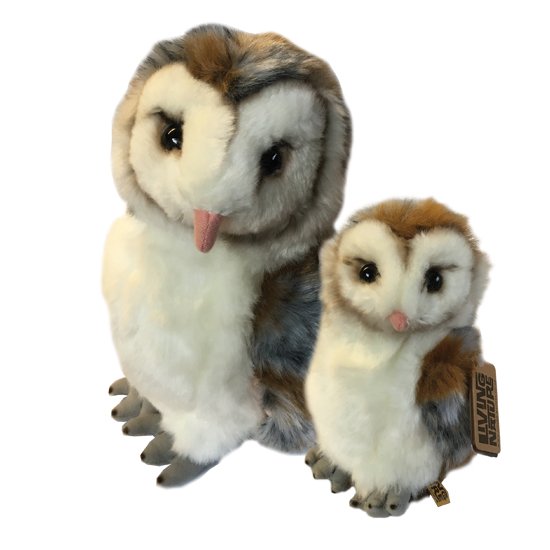 Barn Owl Trust Barnowltrust Twitter