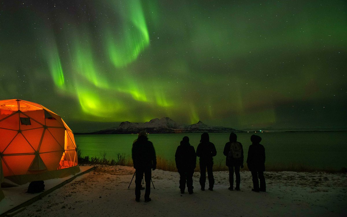 'It's the thrill of the chase that makes seeing the Northern Lights so rewarding...'

Read <a href="/sarahknapton/">Sarah Knapton 🐳</a>'s gripping account of her adventure when she went 'In Search of the Northern Lights' with <a href="/VikingCruises/">Viking</a>  

telegraph.co.uk/travel/cruises… via <a href="/TelegraphTravel/">Telegraph Travel</a> <a href="/TelegraphCruise/">Telegraph Cruise</a>