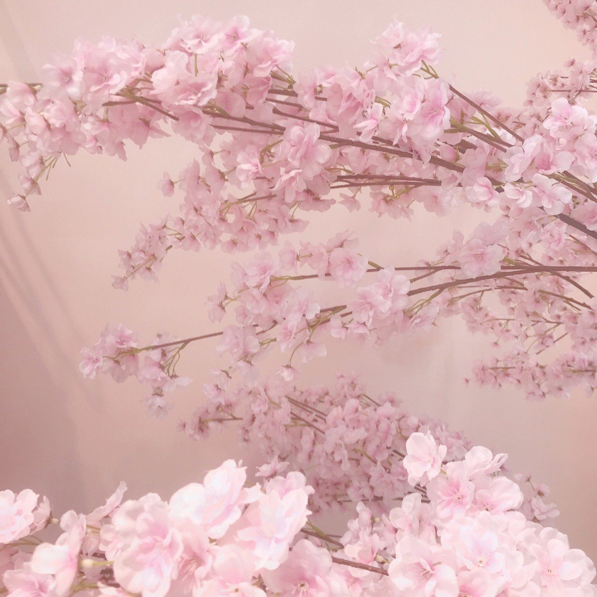 kttngf's tweet image. 