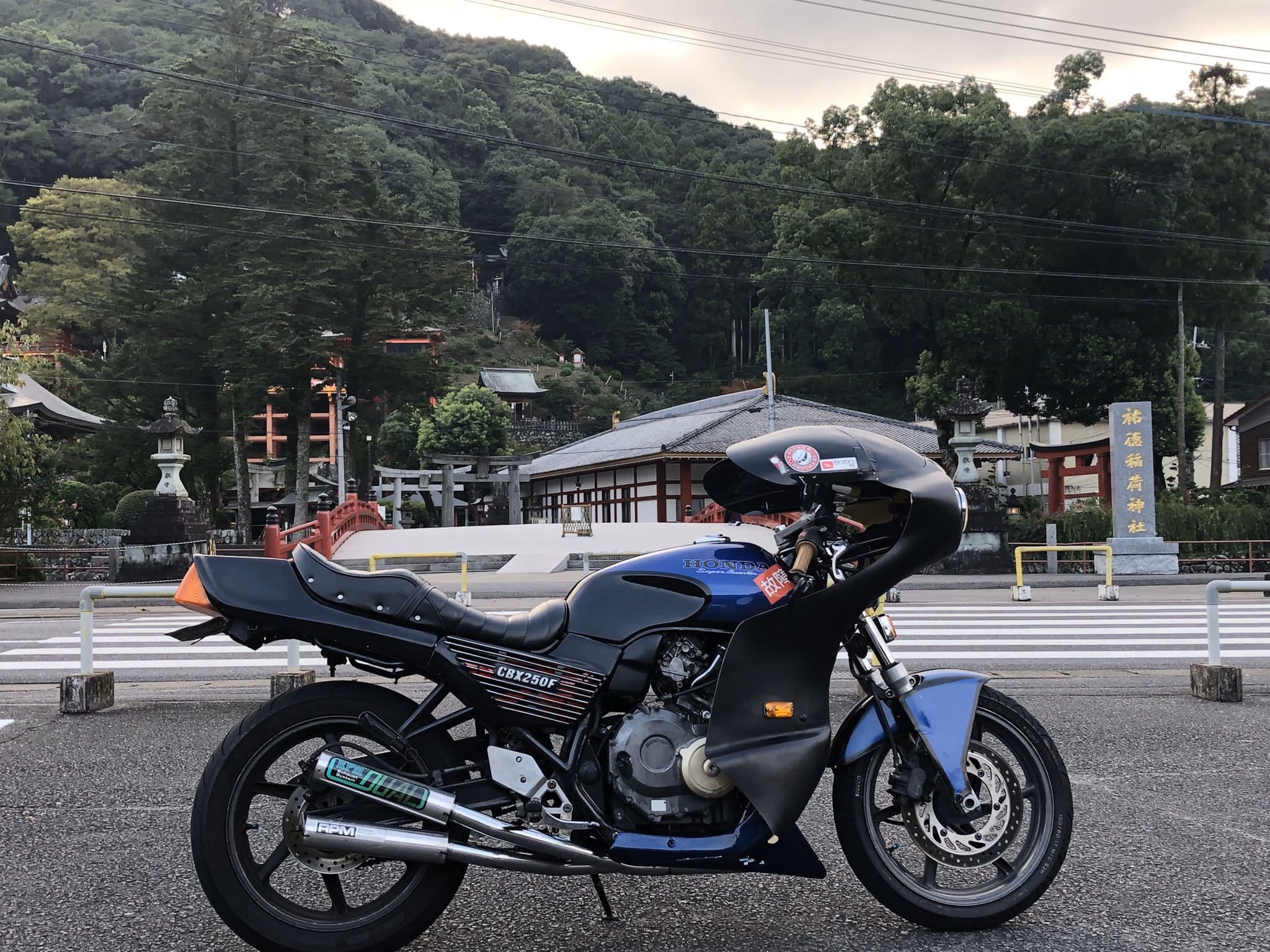 m42432994114_1.jpg?1724245030