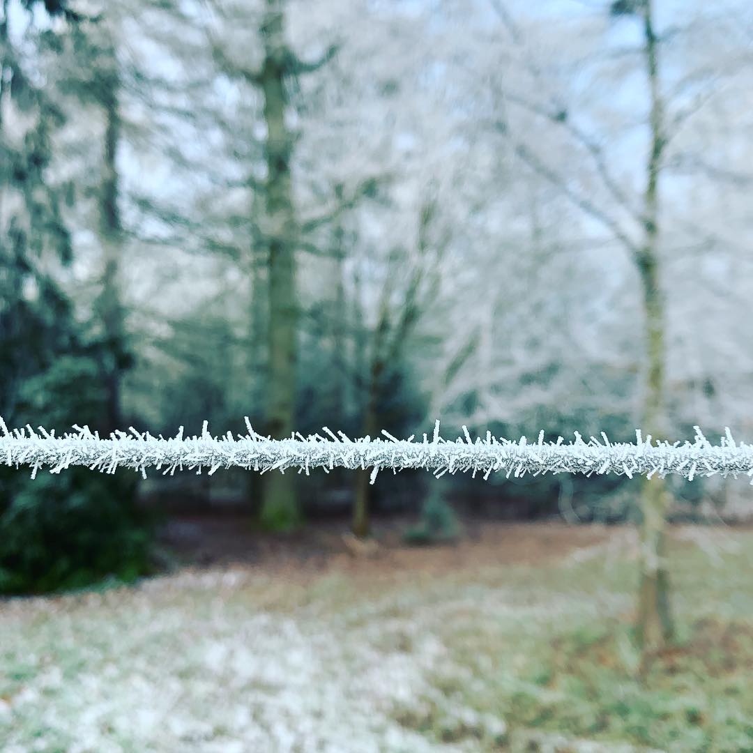 We still have some availability on December weekends...To make an enquiry or reservation please call 0870 850 5468 or email info@carringtonhouse.net

#Christmas #exclusivehire #countryhouse #decembergetaway