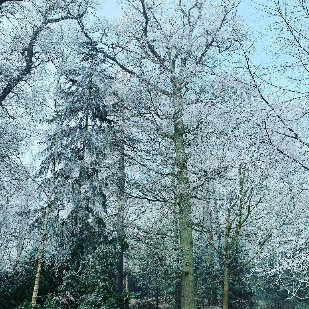 carringtonhou's tweet photo. We still have some availability on December weekends...To make an enquiry or reservation please call 0870 850 5468 or email info@carringtonhouse.net

#Christmas #exclusivehire #countryhouse #decembergetaway https://t.co/GK11HxVE76