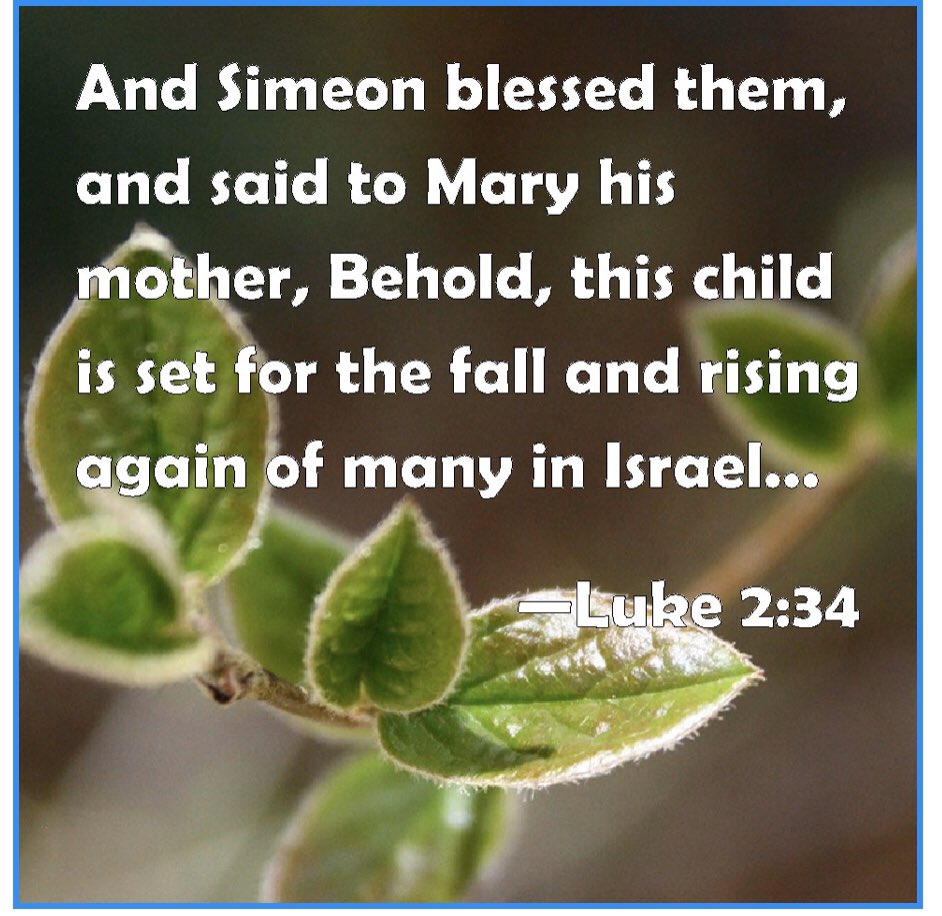 The 3 wisemen from the East, the shepherds, I bet the donkey, John (the Baptist-his cousin) recognized him in the womb, and then Simeon. I’m sure there were others, but the  #s were small. All the ones who thought they knew, missed it. They couldn’t see Him then. They can’t see