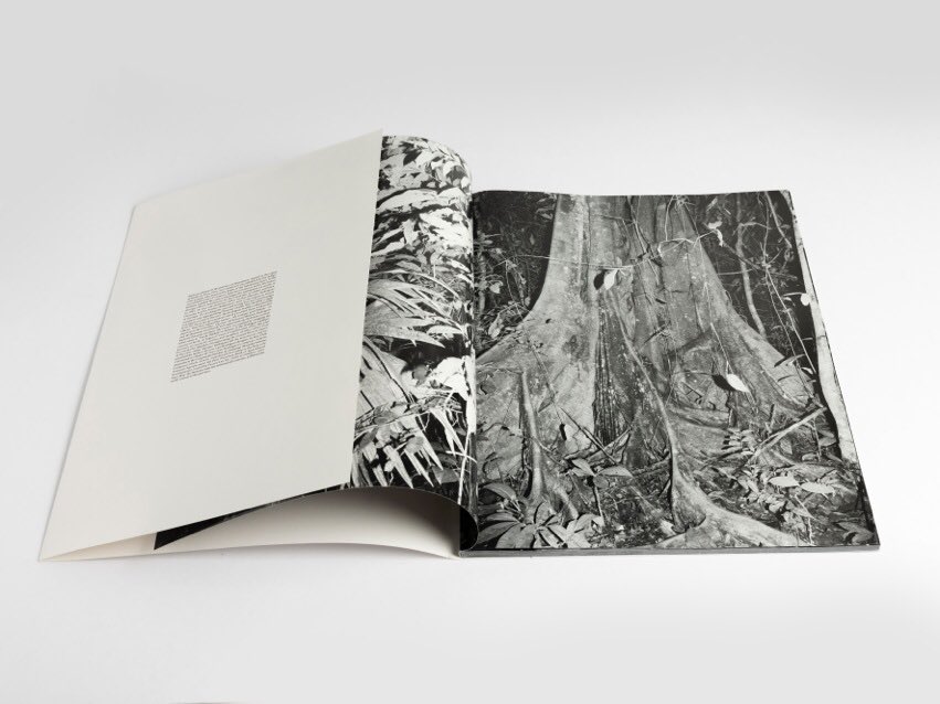 calisidret's tweet photo. IBERIA 
New book by @aleixplademunt 
https://t.co/R8r8lMUDAi https://t.co/q80oP5ieoj