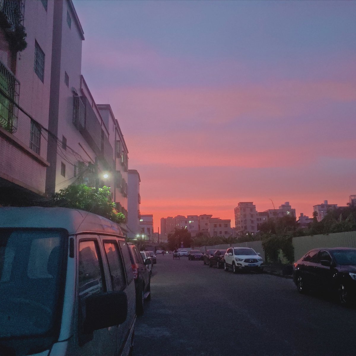 Sherly Zhao (@zhaosherly) on Twitter photo 