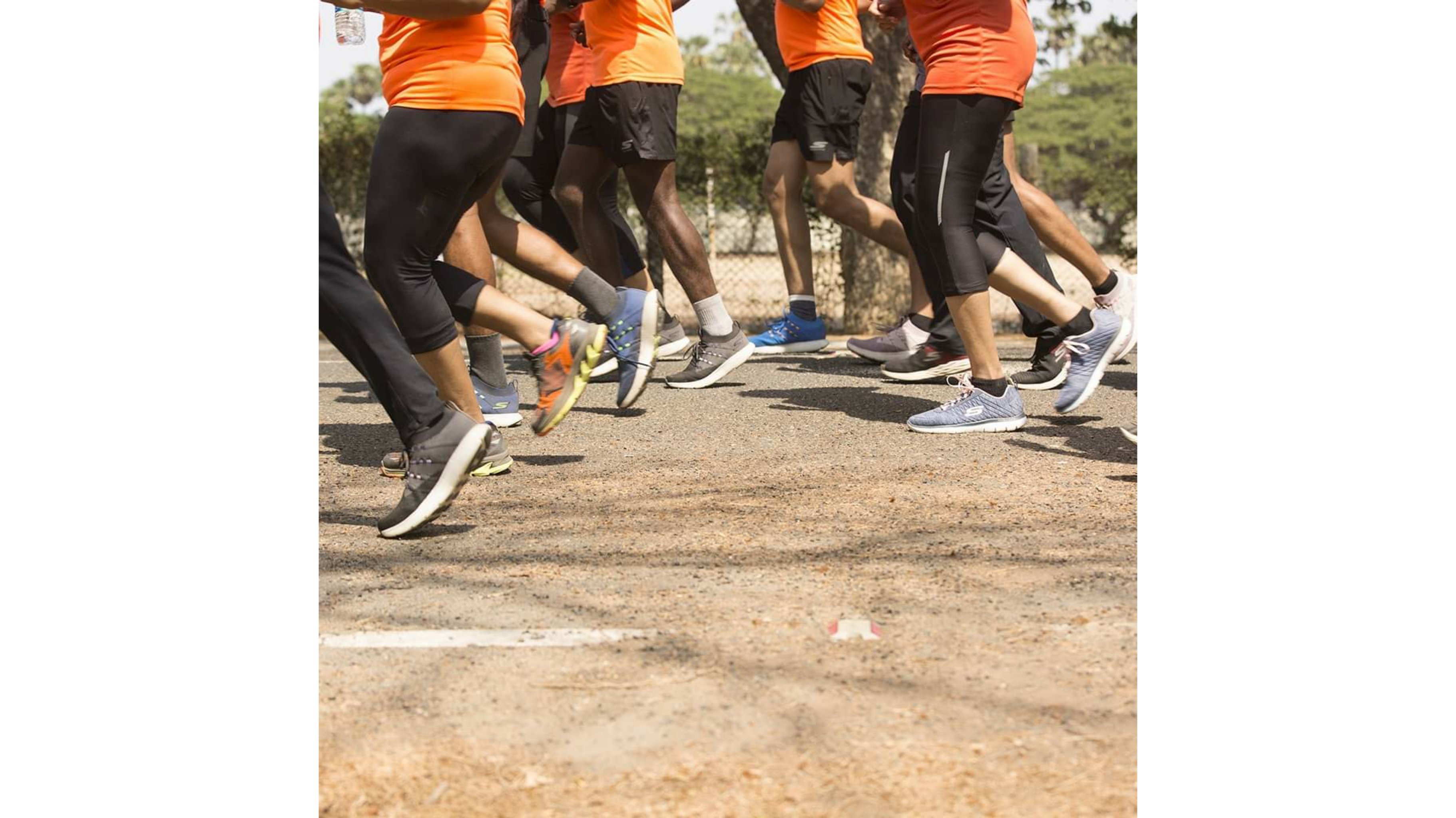 Skechers 2024 running clothes